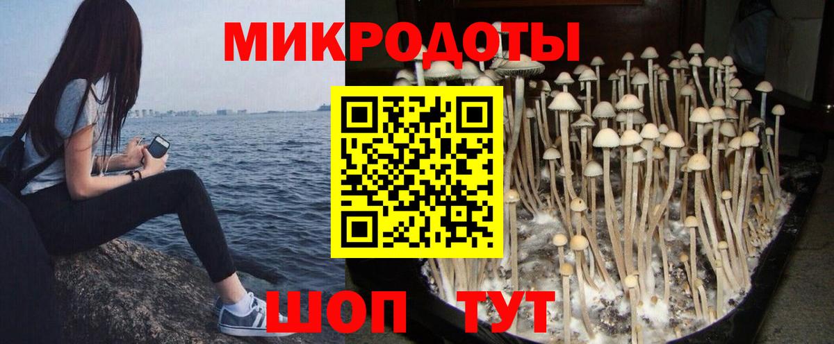 Галлюциногенные грибы Magic Shrooms  Вход с VPN  Набережные Челны  Галлюциногенные грибы мицелий 